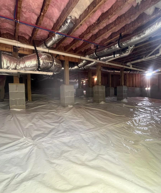 Crawl Space Encapsulation Services